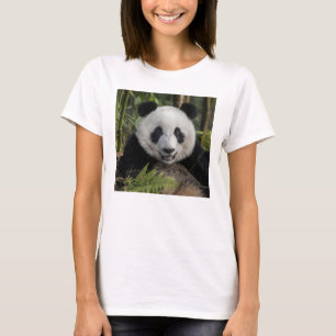 T-shirts Panda nova feliz, China