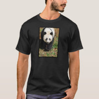 Panda preto e branco