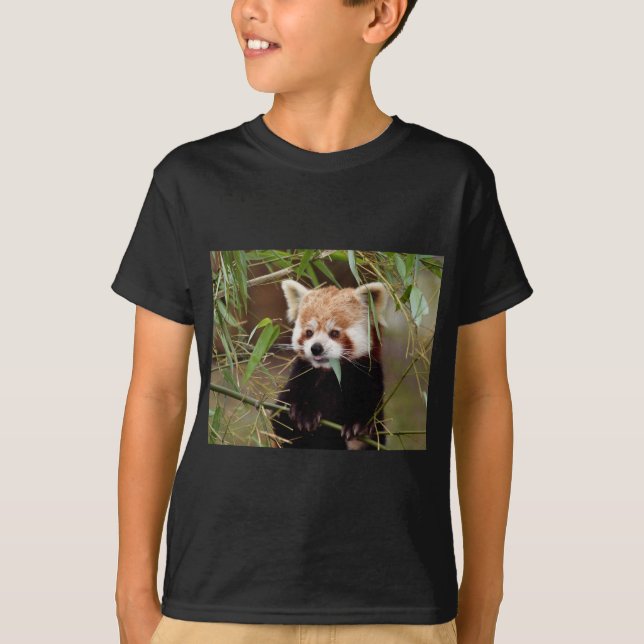 T-shirts Panda vermelha (Frente)