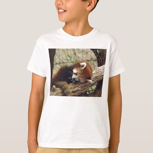 T-shirts Panda Vermelha e Bonita com Comida na boca (Frente)