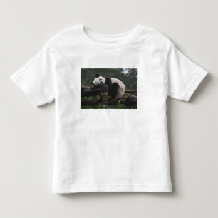 T-shirts Pandas gigantes na Proteção de Pandas Gigantes