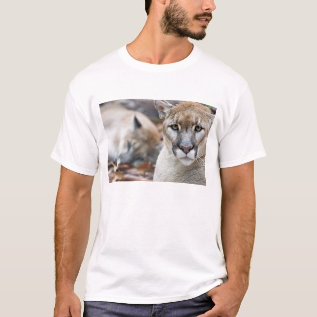 T-shirts Pantera da Flórida (Frente)