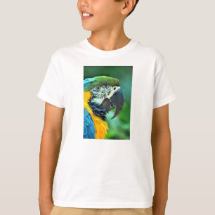 T-shirts Papagaio colorido do macaw