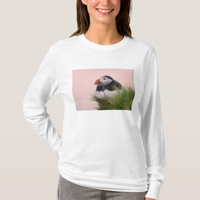 T-shirts Papagaio-do-mar (Fratercula arctica) (Frente)
