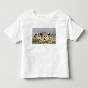 T-shirts Paquistão, Dina. Portão Talaqi visto a partir do