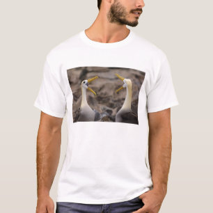 T-shirts Par de albatroz ondulado Phoebastria irrorata)