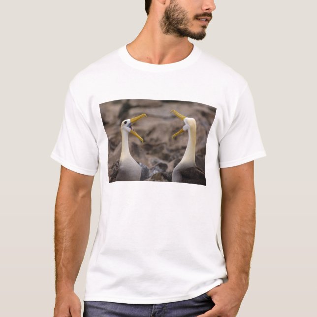T-shirts Par de albatroz ondulado Phoebastria irrorata) (Frente)