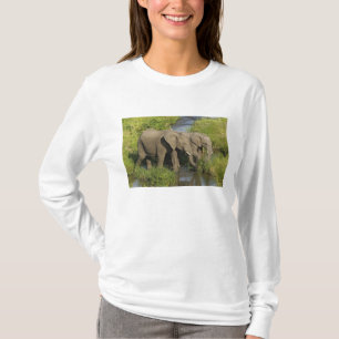 T-shirts Par de Elefantes Africanos Masai Mara