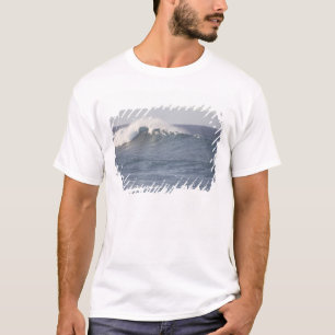 T-shirts Parque da Praia Hookipa, Costa Norte do Maui,