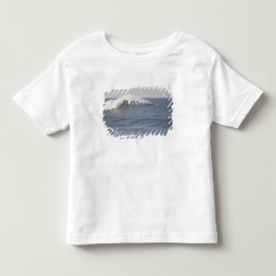 T-shirts Parque de Praia Hookipa, Costa Norte do Maui,
