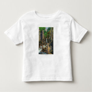 T-shirts Parque estadual do entalhe de Franconia