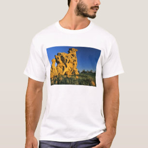 T-shirts Parque Estadual Medicine Rocks perto de Ekalaka Mo