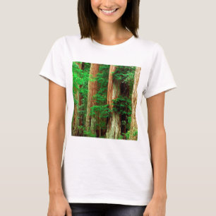 T-shirts Parque grande antigo da sequóia vermelha da bacia