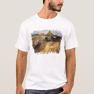 T-SHIRTS PARQUE NACIONAL CAPITOL REEF, UTAH. EUA.