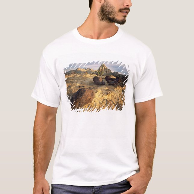 T-SHIRTS PARQUE NACIONAL CAPITOL REEF, UTAH. EUA. (Frente)
