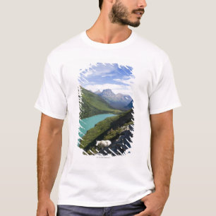T-shirts Parque nacional de geleira, Montana
