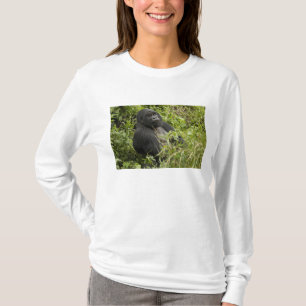 T-shirts Parque Nacional dos Vulcões, Gorila da Montanha