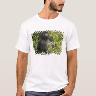 T-shirts Parque Nacional dos Vulcões, Gorila da Montanha