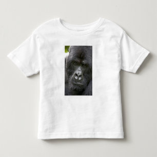 T-shirts Parque Nacional dos Vulcões, Ruanda, Gorilas da Mo