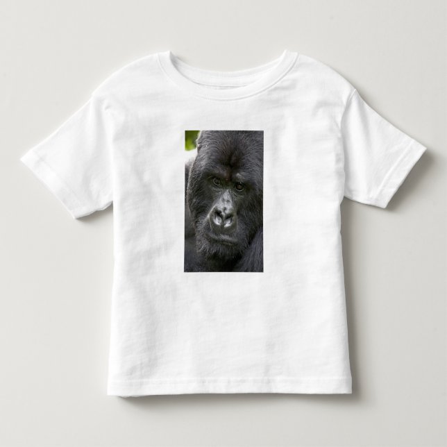 T-shirts Parque Nacional dos Vulcões, Ruanda, Gorilas da Mo (Frente)