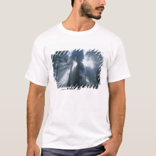 T-shirts Parque Nacional Redwood, Condado de Del Norte, neb