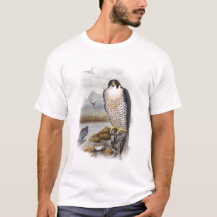 T-shirts Pássaros de John Gould do falcão de peregrino de