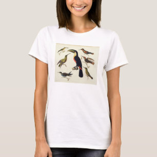 T-shirts Pássaros nativos, incluindo o Toucan (centro),