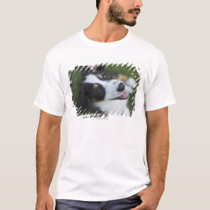 T-shirts Pastor australiano que está nos pés traseiros