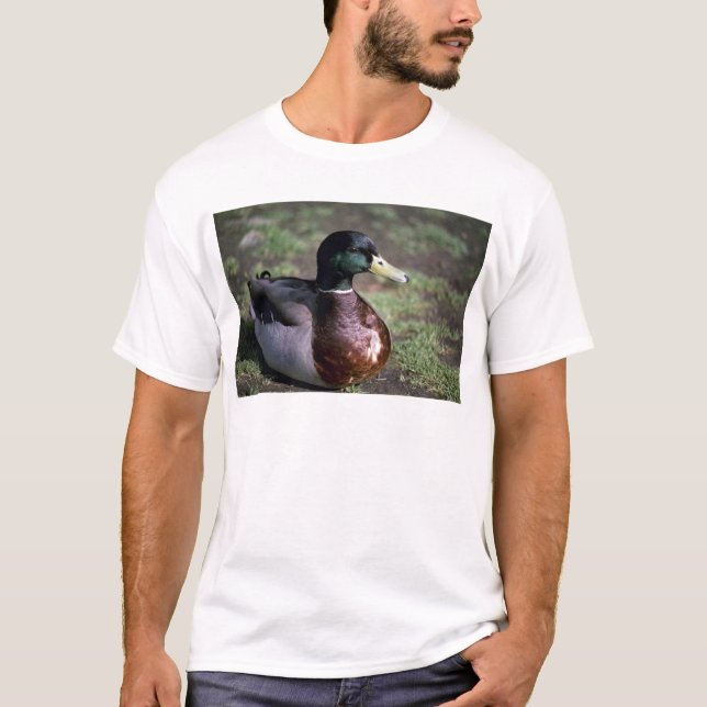 T-shirts Pato (Frente)