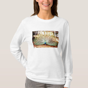 T-shirts Pavão, Senhoras Longa Capa