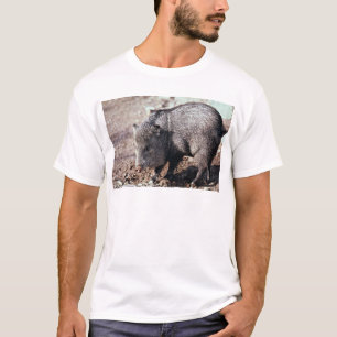 T-shirts Peccary colocado um colar (javelina)