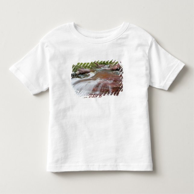 T-shirts Pedra vermelha em Baring Creek na Glacier National (Frente)