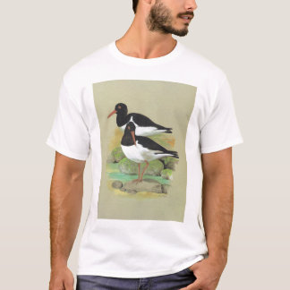 T-shirts Pega-do-mar Pied - ostralegus do Haematopus