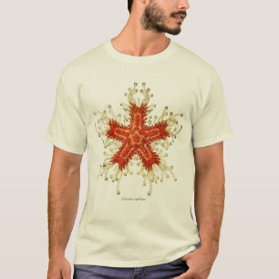 T-shirts Peixes da estrela
