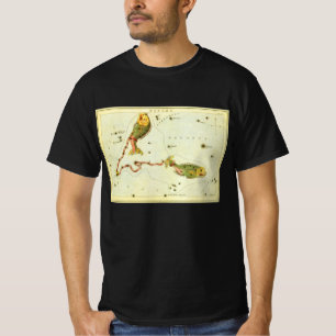 T-shirts Peixes, Espelho de Urânia da Constelação Vintage