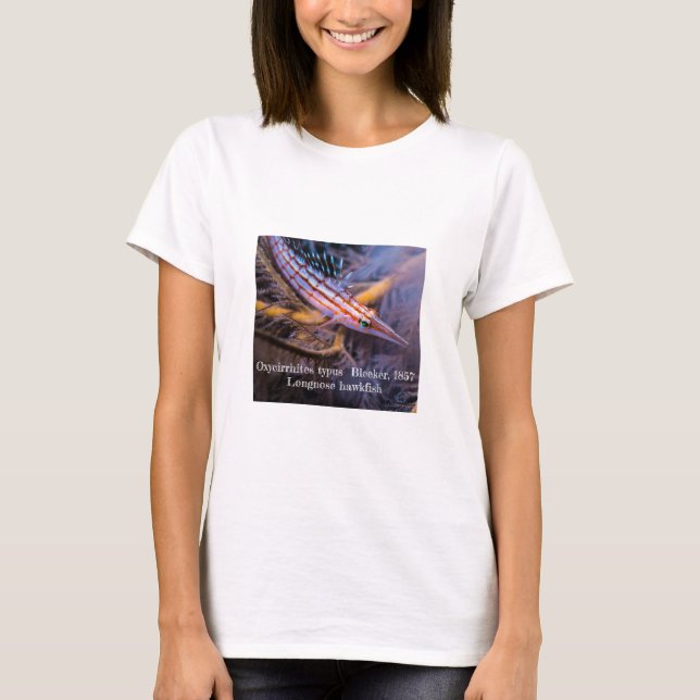 T-shirts Peixes-gavião-de-bico-longo (Frente)