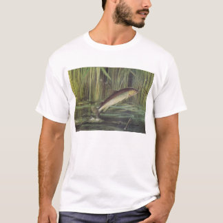 T-shirts Peixes - Truta Marrom - Salmo trutta