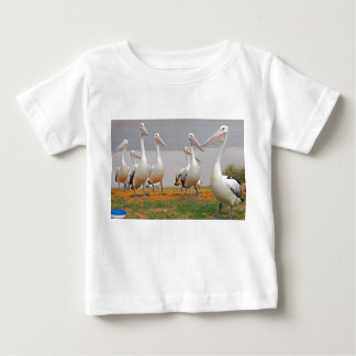 T-shirts Pelicanos em Kalbarri, Austrália Ocidental