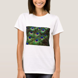 T-shirts Penas de Peacock