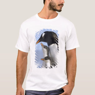 T-shirts Península Antártica, Neko Harbor, Gentoo