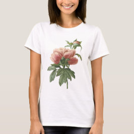 T-shirts peônia (sp do Paeonia.) por Redouté