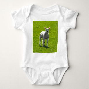 T-shirts Pequena Lambe