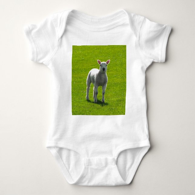 T-shirts Pequena Lambe (Frente)