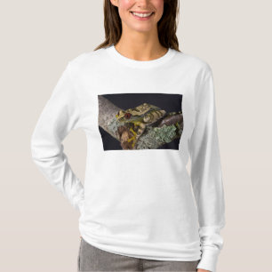 T-shirts Perereca-de-olho-vermelho-africana, Leptopelis