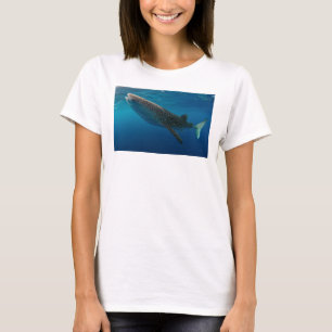 T-shirts Perfil de um tubarão de baleia, Indonésia