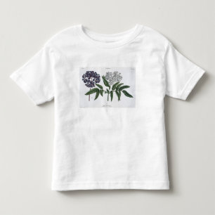 T-shirts Pessoa idosa, Fig. 13 "do Landsman novo", publishe