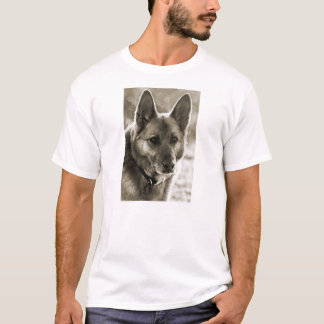 T-SHIRTS PETRA