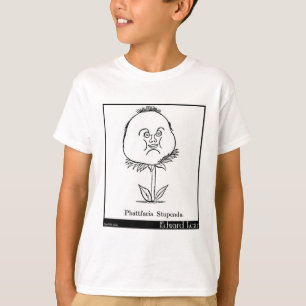 T-shirts Phattfacia Stupenda.
