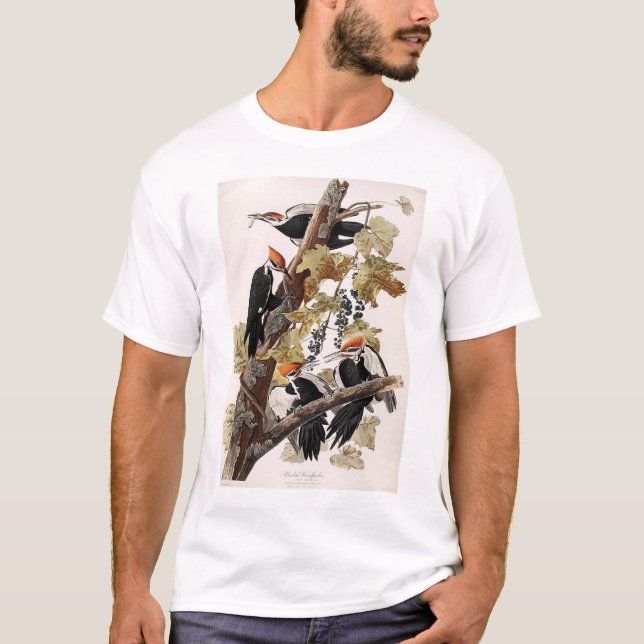 T-shirts Pica-pau de Pileated (Frente)