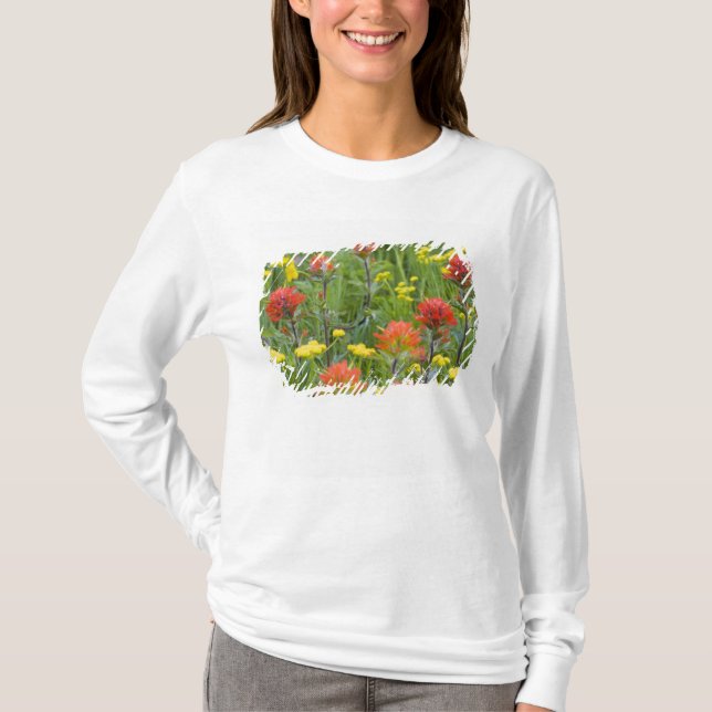 T-shirts Pincel indiano e flores silvestres de biscuitroot (Frente)